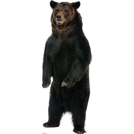 Brown Bear Cardboard Cutout