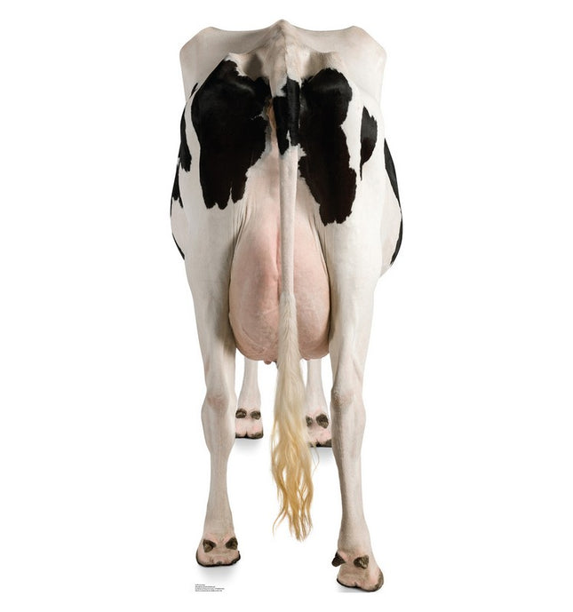 Cow's Rear Cardboard Cutout
