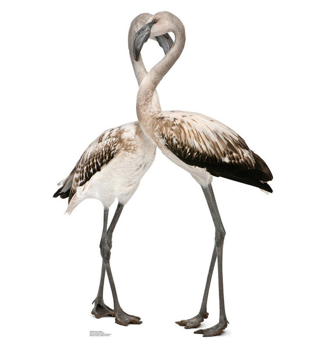 Flamingos Love Birds Cardboard Cutout