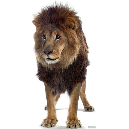Lion Cardboard Cutout