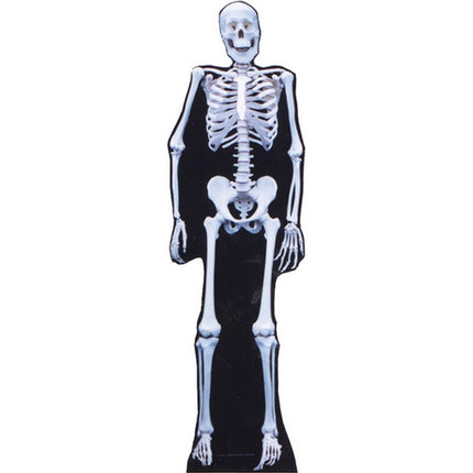 Skeleton Cardboard Cutout