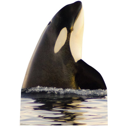 Killer Whale Cardboard Cutout