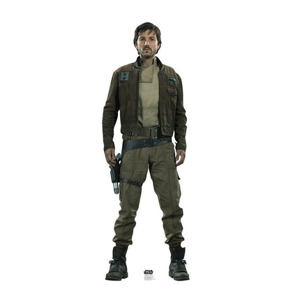 Captain Cassian Andor Rogue One Cardboard Cutout