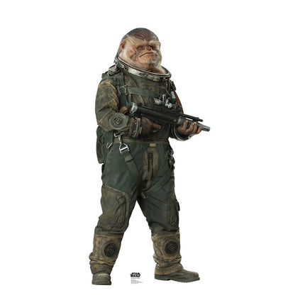 Bistan Rogue One Cardboard Cutout