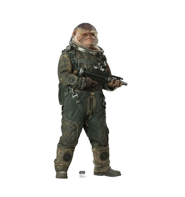 Bistan Rogue One Cardboard Cutout
