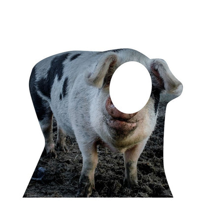 Pig Standin Cardboard Cutout