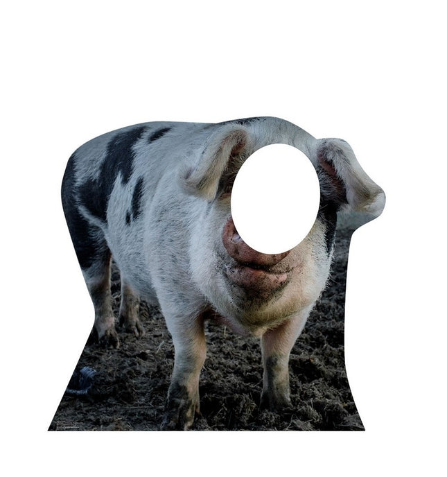 Pig Standin Cardboard Cutout