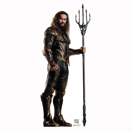 Aquaman Justice League Cardboard Cutout