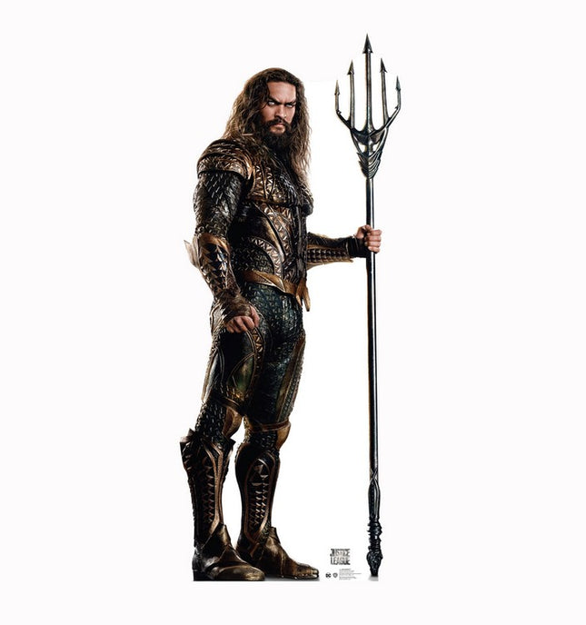 Aquaman Justice League Cardboard Cutout