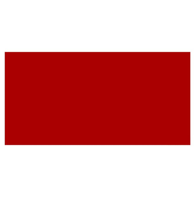 Roll Out Red Carpet Vinyl Floor Mat Cardboard Cutout