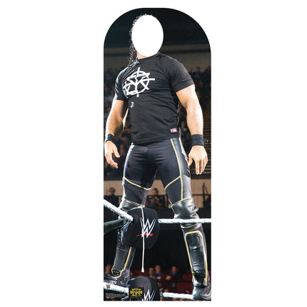 Seth Rollins Stand In