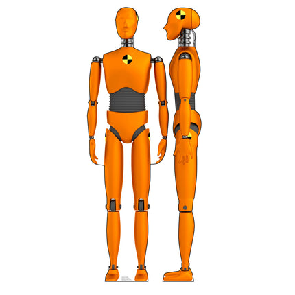 Crash Test Dummies Cardboard Cutout