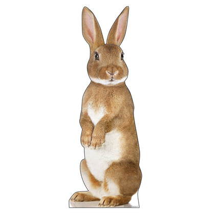 Bunny Rabbit Cardboard Cutout