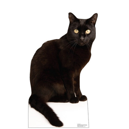 Black Cat Cardboard Cutout