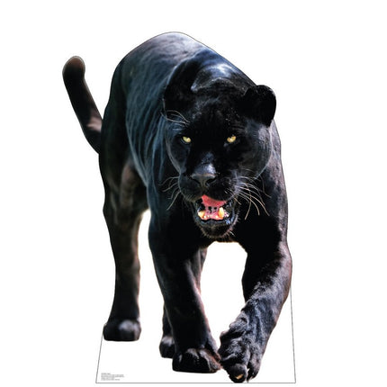 Black Jaguar Cardboard Cutout