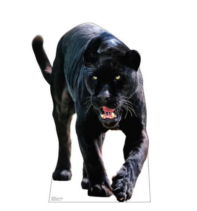 Black Jaguar Cardboard Cutout