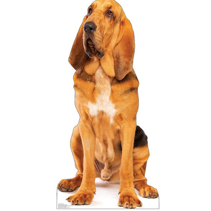 Bloodhound Cardboard Cutout