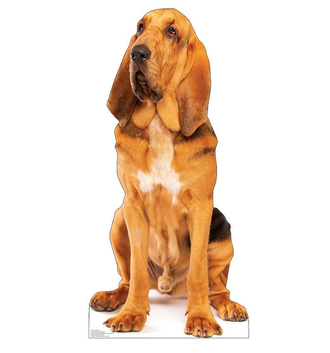 Bloodhound Cardboard Cutout