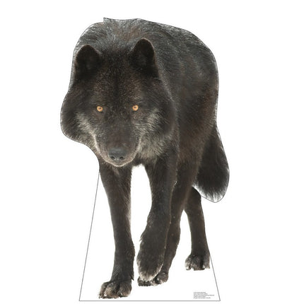 Canadian Black Wolf Cardboard Cutout