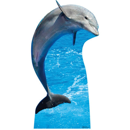 Dolphin Cardboard Cutout
