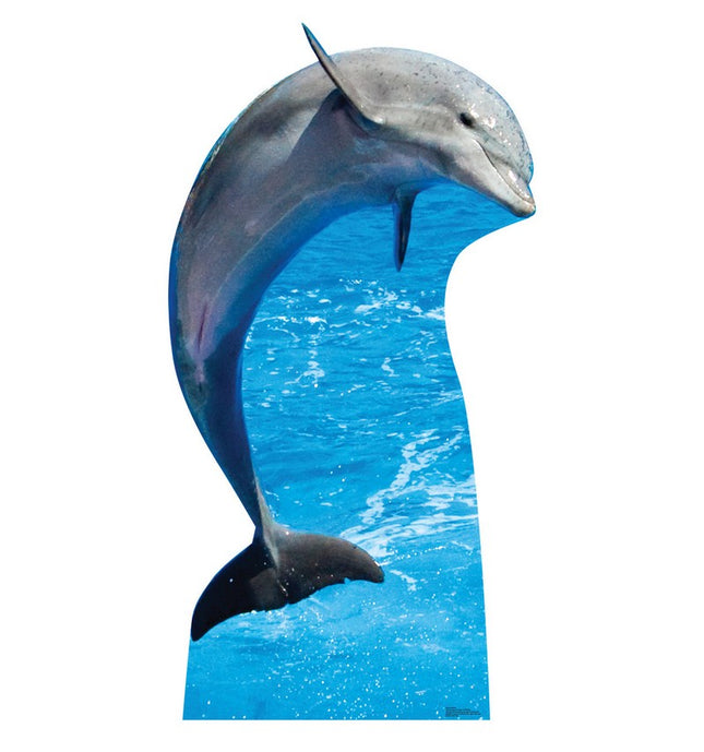 Dolphin Cardboard Cutout