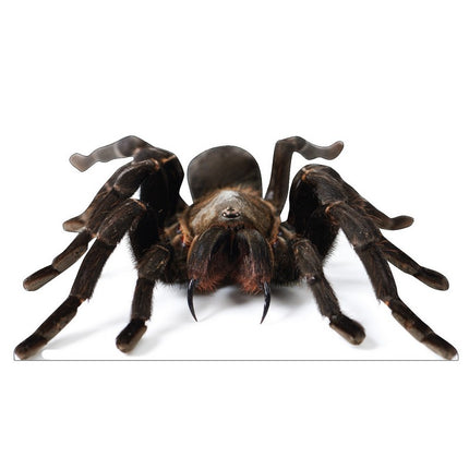 Giant Tarantula Cardboard Cutout