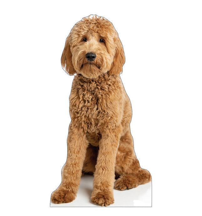 Goldendoodle Cardboard Cutout