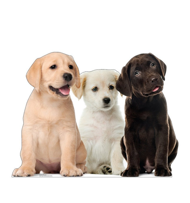 Puppy Group Cardboard Cutout