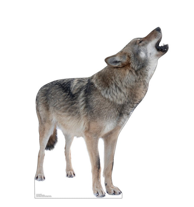 Howling Wolf Cardboard Cutout