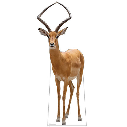 Impala Cardboard Cutout