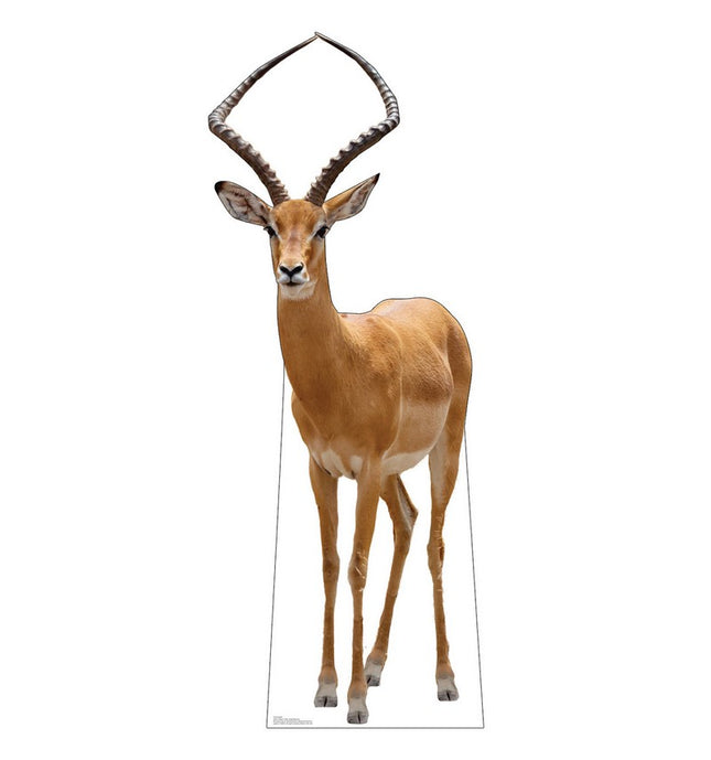 Impala Cardboard Cutout