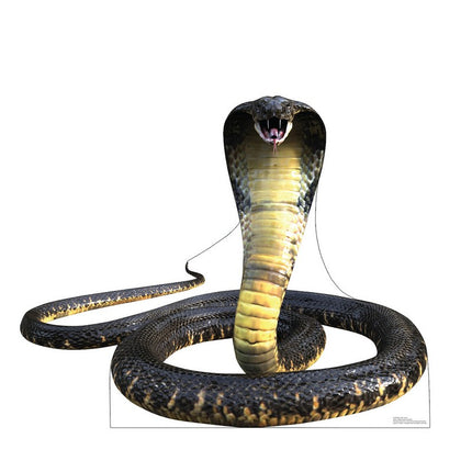 King Cobra Cardboard Cutout