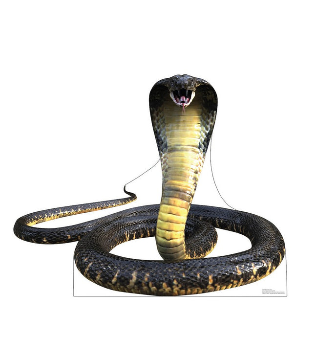King Cobra Cardboard Cutout