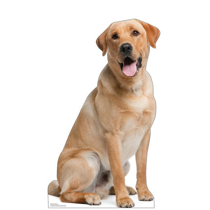 Labrador Retriever Cardboard Cutout
