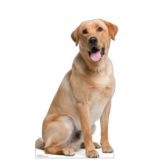 Labrador Retriever Cardboard Cutout