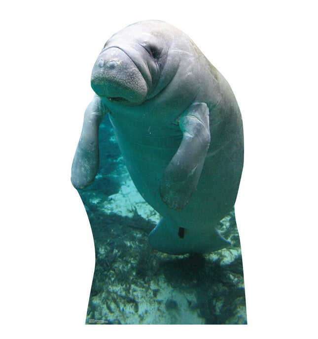Manatees Cardboard Cutout