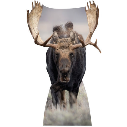 Moose Cardboard Cutout
