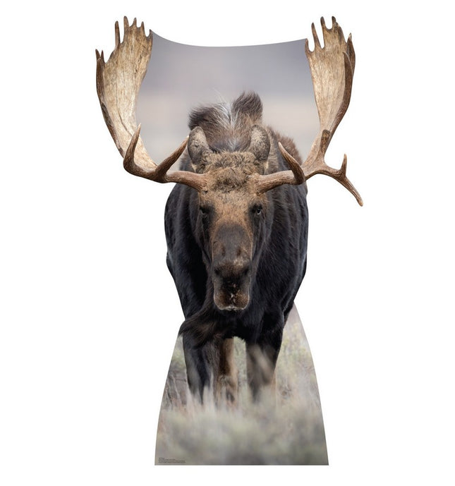 Moose Cardboard Cutout
