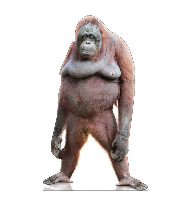 Orangutan Cardboard Cutout