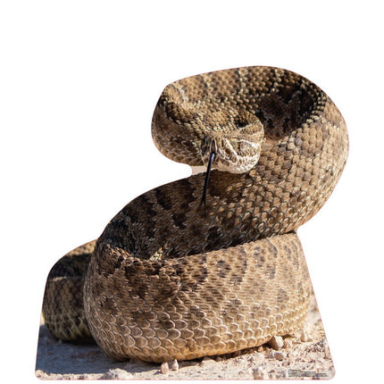 Rattlesnake Cardboard Cutout