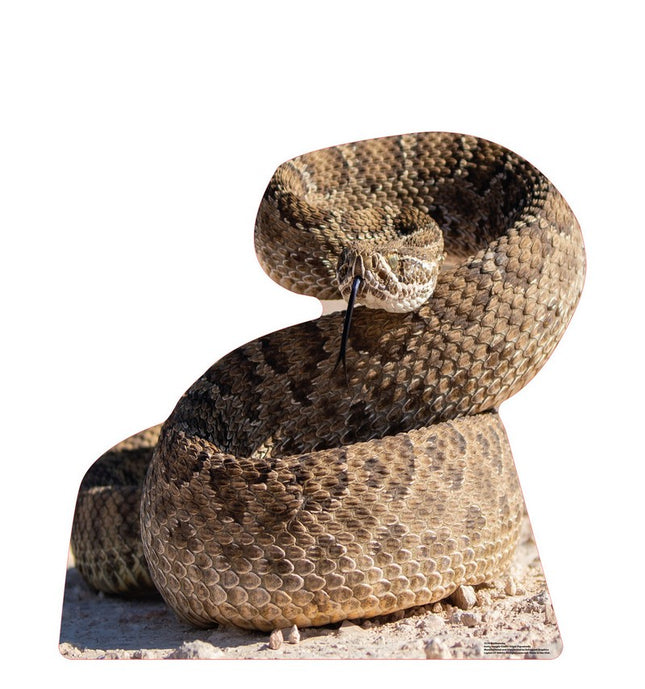 Rattlesnake Cardboard Cutout