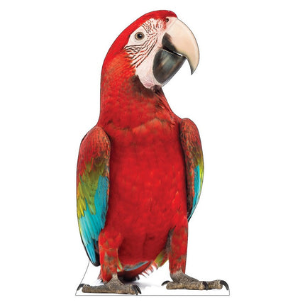 Red Parrot Cardboard Cutout
