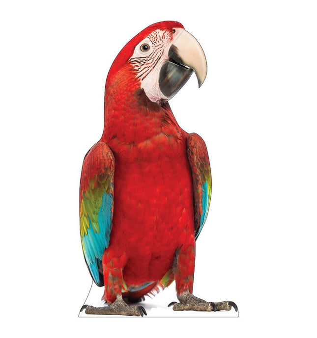 Red Parrot Cardboard Cutout