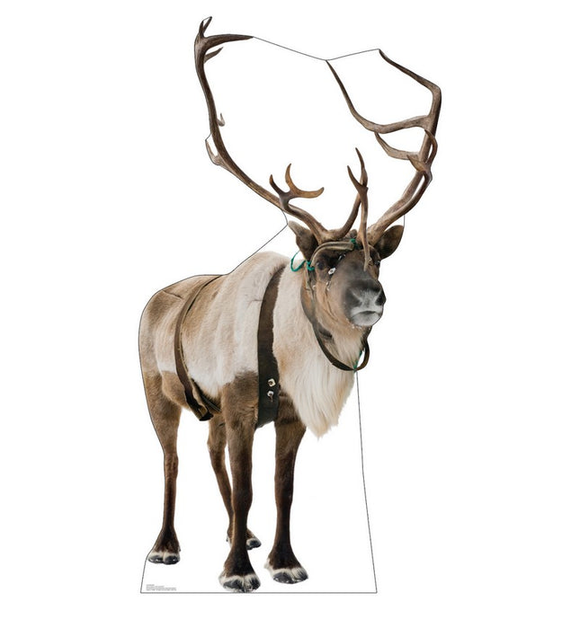 Reindeer Cardboard Cutout