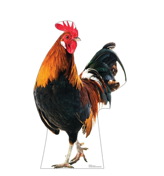 Rooster Cardboard Cutout