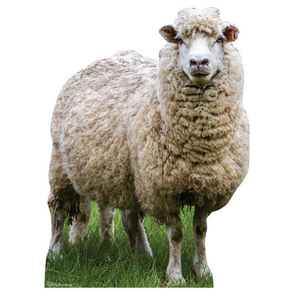 Sheep Cardboard Cutout