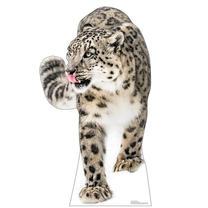 Snow Leopard Cardboard Cutout