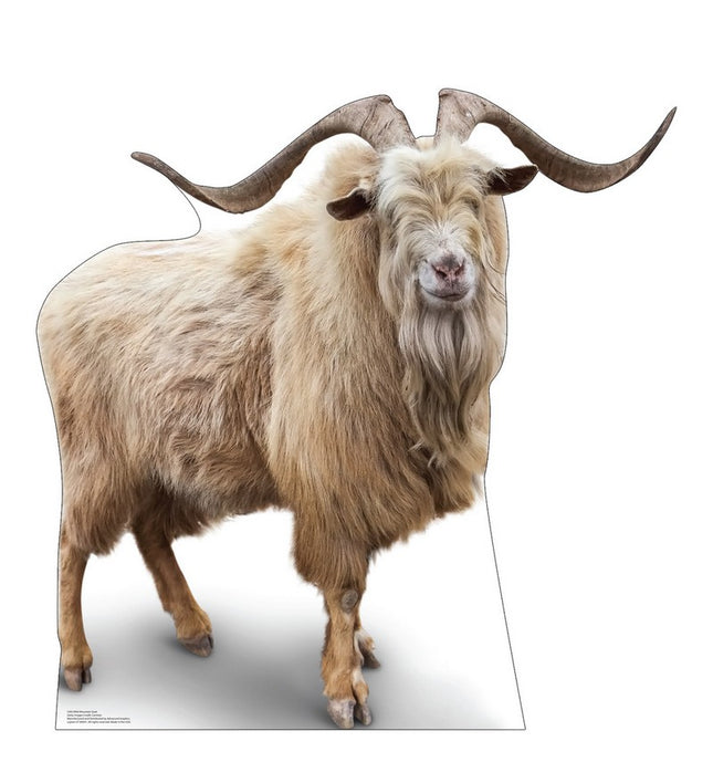Wild Mountain Goat Cardboard Cutout