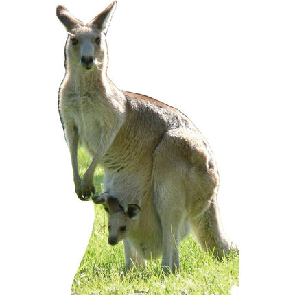 Kangaroo Cardboard Cutout