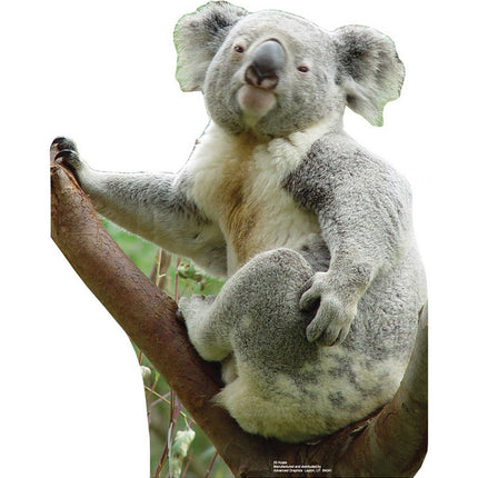 Koala Bear Cardboard Cutout